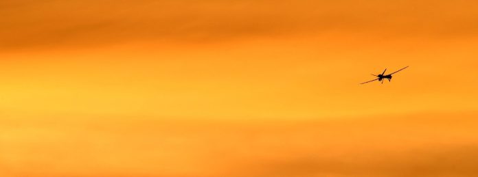 4000991.jpg