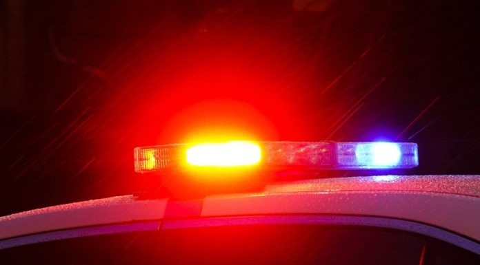 Teenage boy found dead after falling from train trestle in Chesapeake – Daily Press