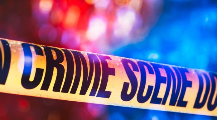 Man wanted on attempted murder charge wounded by Marshals in Virginia shootout – Daily Press