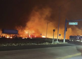 53 people have died from the Maui wildfires, governor says, and historic Lahaina has burned down – Daily Press