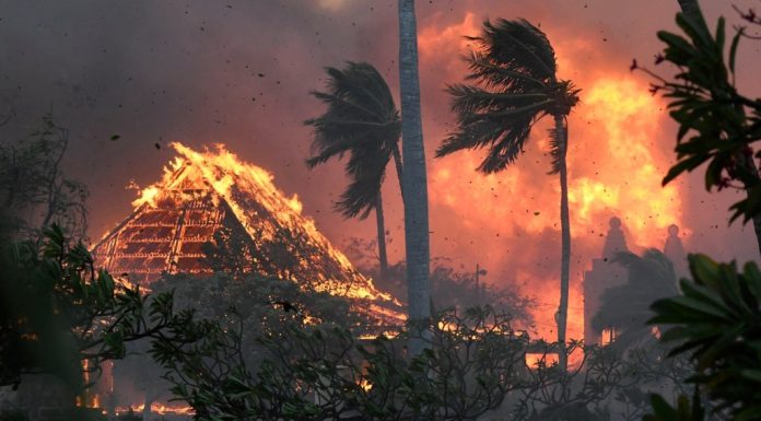 Generosity and change needed as Maui begins wildfire recovery – Daily Press