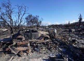 As death toll from Maui wildfire reaches 93, effort to find and identify the dead is just beginning – Daily Press