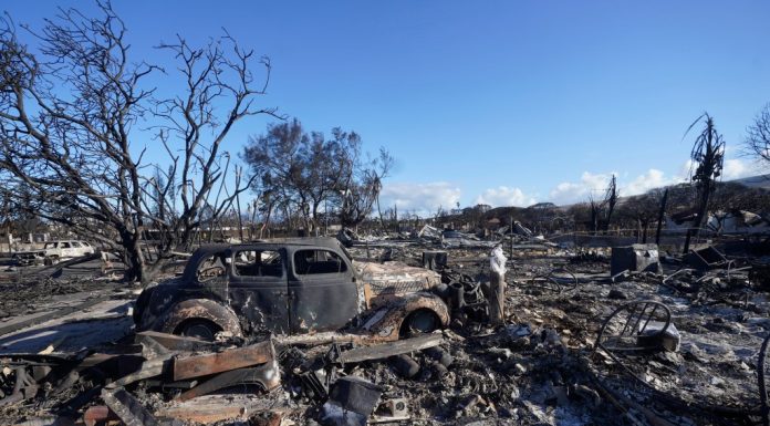 As death toll from Maui wildfire reaches 93, effort to find and identify the dead is just beginning – Daily Press