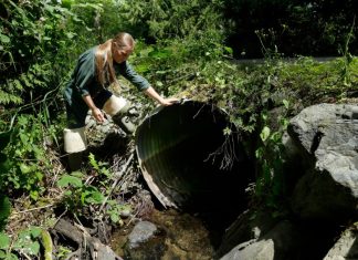 Federal grants will replace water tunnels beneath roads that are harmful to fish – Daily Press