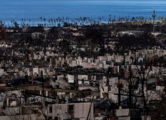 Maui’s emergency services chief resigns after facing criticism for not activating sirens during fire – Daily Press