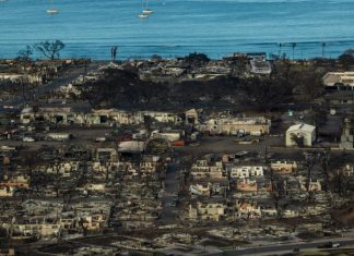 Emergency services chief on Maui resigns. He faced criticism for not activating sirens during fire – Daily Press