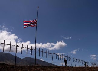 Hawaii officials urge families of people missing after deadly fires to give DNA samples – Daily Press