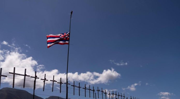 Hawaii officials urge families of people missing after deadly fires to give DNA samples – Daily Press