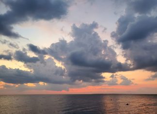 July 2023 record-breaking for Vibrio deaths in North Carolina, one confirmed on Outer Banks