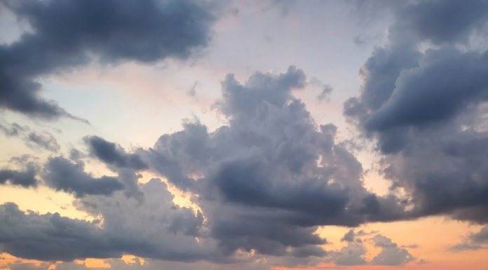 July 2023 record-breaking for Vibrio deaths in North Carolina, one confirmed on Outer Banks