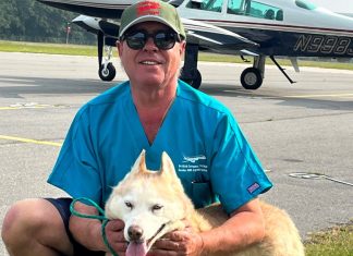 The magic carpet dog rescue mission – Daily Press
