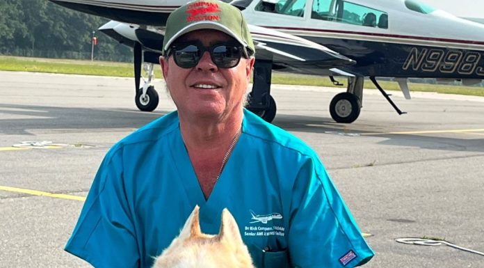 The magic carpet dog rescue mission – Daily Press