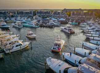 Ocean City boat lands 640-pound blue marlin, wins $6.2 million in White Marlin Open – Daily Press