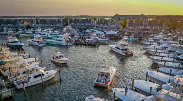 Ocean City boat lands 640-pound blue marlin, wins $6.2 million in White Marlin Open – Daily Press