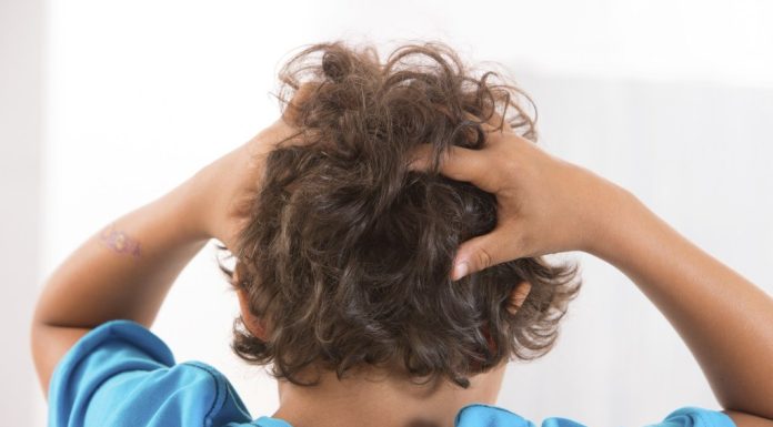 Back to school — and head lice – Daily Press