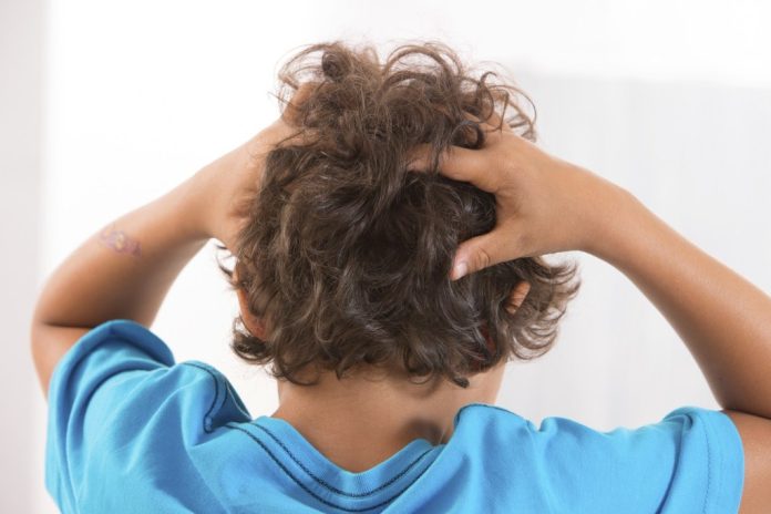 LIFE-HEALTH-HEAD-LICE-DMT.jpg