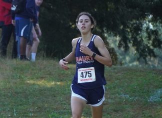 Maury, Princess Anne runners eye VHSL titles, Walsingham aims to repeat in VISAA – Daily Press