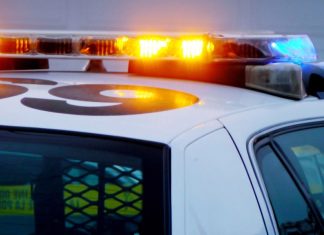 60-year-old man dies after hit-and-run in Norfolk; woman arrested – Daily Press