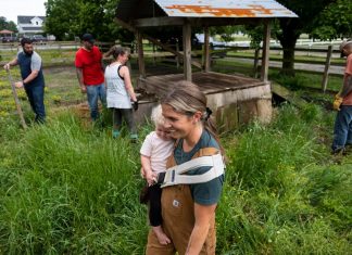 Virginia Beach reverses course, allowing nonprofit to bring veteran horse-therapy to Pungo – Daily Press