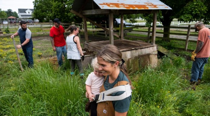 Virginia Beach reverses course, allowing nonprofit to bring veteran horse-therapy to Pungo – Daily Press