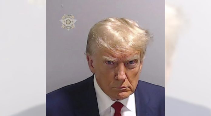 The Donald Trump mug shot – Daily Press