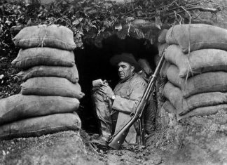 Writing Strategy 2023