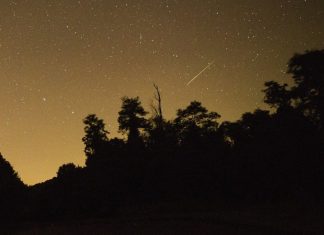 How to see the Perseid meteor shower in Hampton Roads – Daily Press