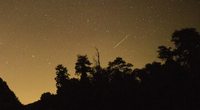 How to see the Perseid meteor shower in Hampton Roads – Daily Press