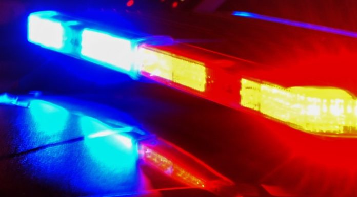 Chesapeake officer struck by vehicle during traffic stop; driver charged with DUI – Daily Press