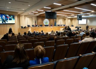 Virginia Beach to hold public hearing before vote on ward election system – Daily Press
