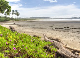 How Costa Rica is leading the way in sustainable tourism – Daily Press