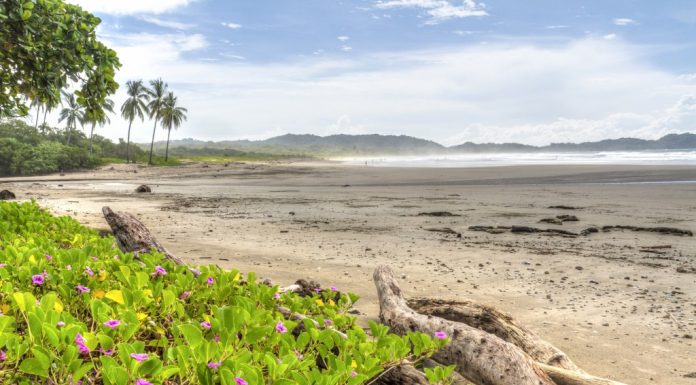 How Costa Rica is leading the way in sustainable tourism – Daily Press