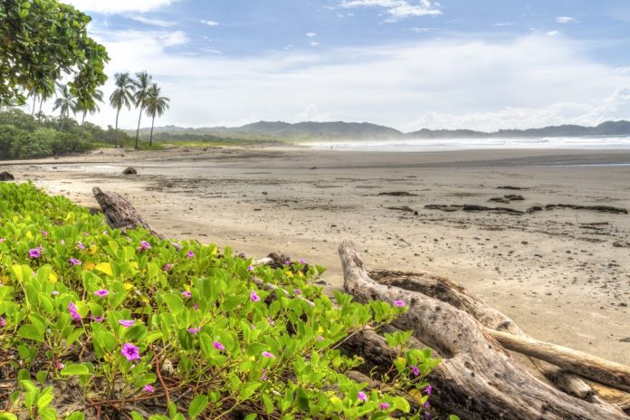 TRV-WLT-COSTA-RICA-SUSTAINABILITY-DMT.jpg