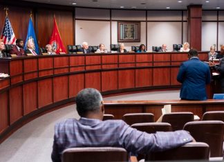 Chesapeake looks to hire permanent city auditor after 2 years without a fiscal watchdog – Daily Press