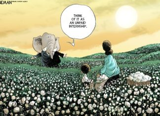Drew Sheneman: Unpaid Internship
