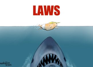 Bill Bramhall: Laws
