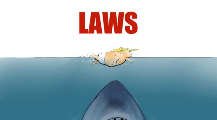 Bill Bramhall: Laws