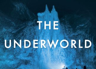 New novels by Ann Patchett and Sandra Brown – Daily Press
