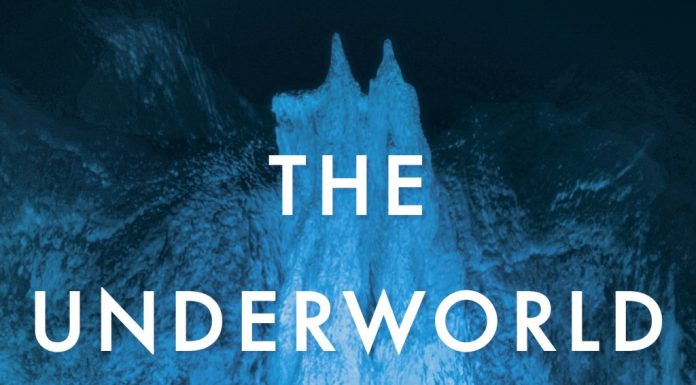 New novels by Ann Patchett and Sandra Brown – Daily Press