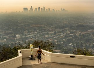 Dementia risk grows with increased exposure to air pollution, study finds – Daily Press