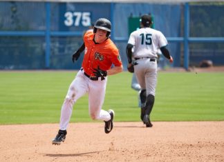 Jacksonville tags Norfolk for 8 runs early in series-opening victory – Daily Press