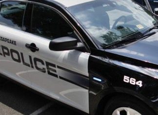 Man and dog killed in hit-and-run in Chesapeake – Daily Press