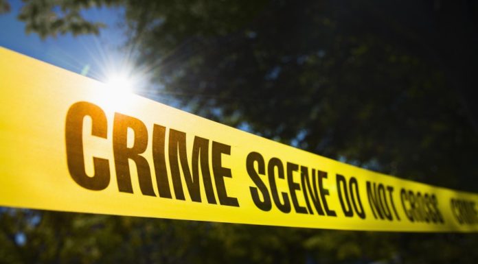 Multiple people killed in shooting inside Jacksonville Dollar General, mayor says – Daily Press