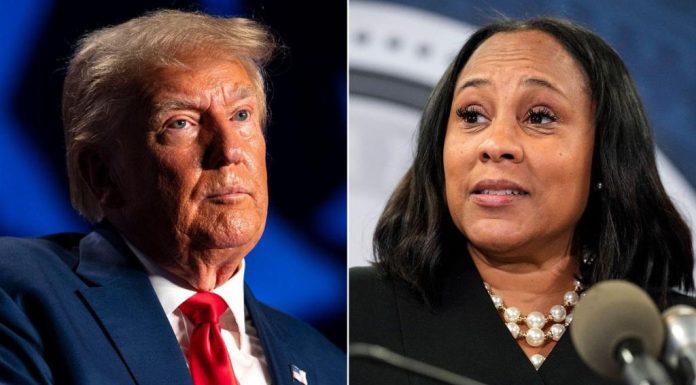 What is RICO, the law at the heart of Donald Trump’s Georgia criminal case? – Daily Press