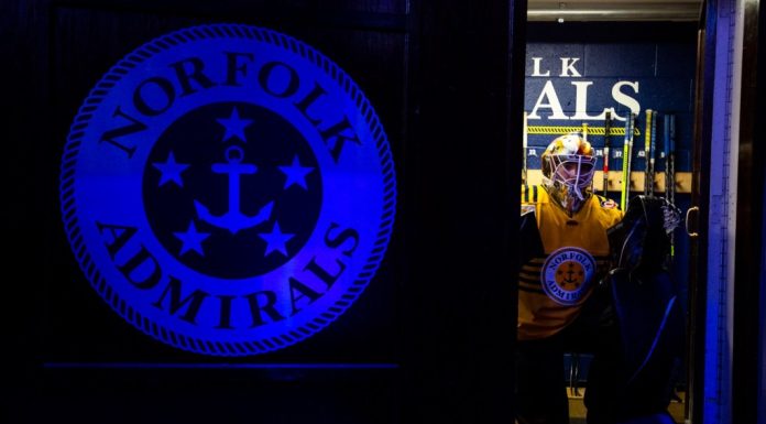 Admirals sign two players, including one whose March 2020 rookie season ended abruptly – Daily Press