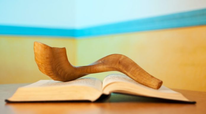 A period of reflection for everyone – Daily Press