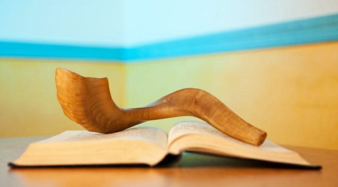 fl-jj-shofar.jpeg