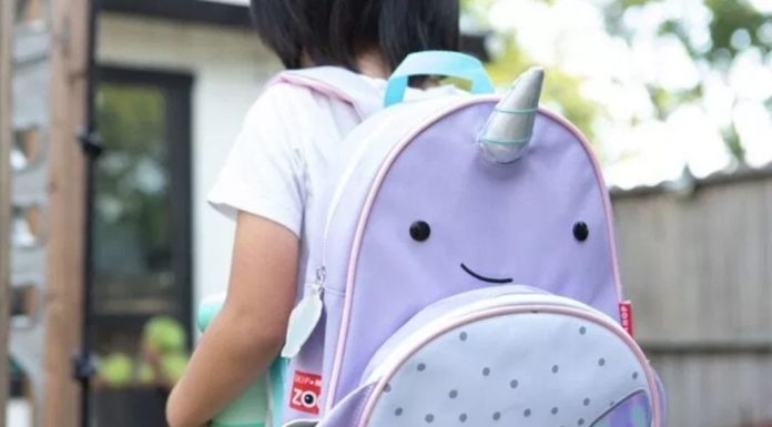 Trendy backpacks for elementary school students – Daily Press
