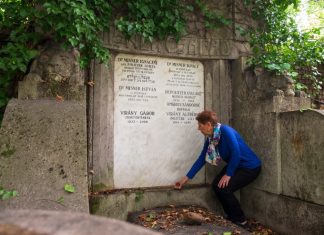 A novel chapter added to Holocaust history – Daily Press