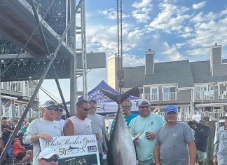 Big billfish aren’t biting, but $7 milllion top prize will still be awarded at White Marlin Open – Daily Press